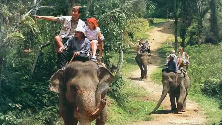 Book Elephant Safari