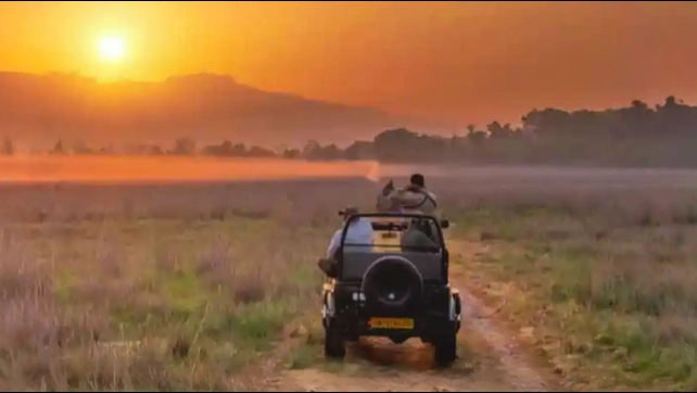 Corbett Park View