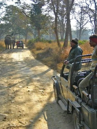 Bijrani jeep safari
