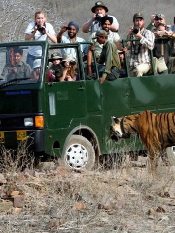 Dhikala core zone luxury safari
