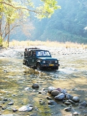 Dhikala jeep safari