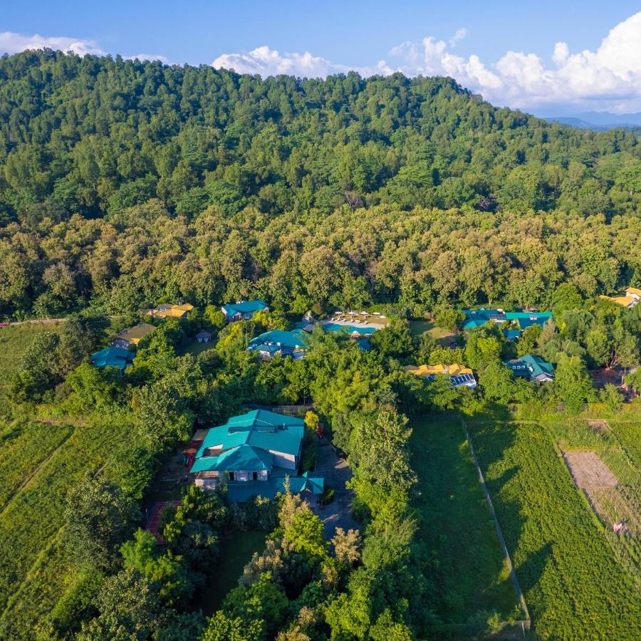 Aahana Corbett Wilderness pool