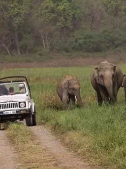 Dhela jeep safari
