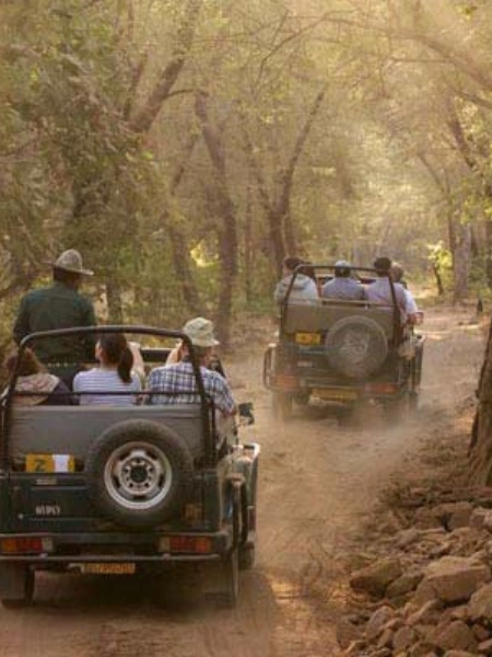 Jhirna tiger jeep safari